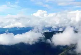 明尼苏达生产的透气胶带 明尼苏达生产的透气胶带